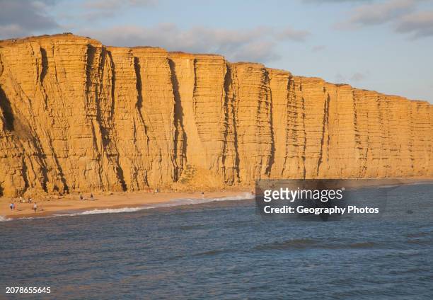 Golden afternoon light on sandstone cliffs, East Cliffs, West Bay, Bridport, Dorset, England, UK.