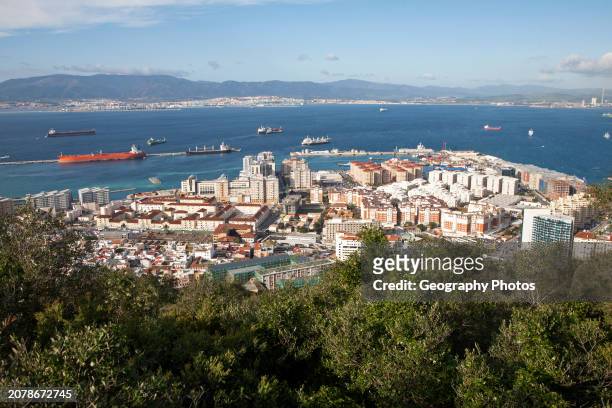 High density modern apartment block housing, Gibraltar, British overseas territory in southern Europe.