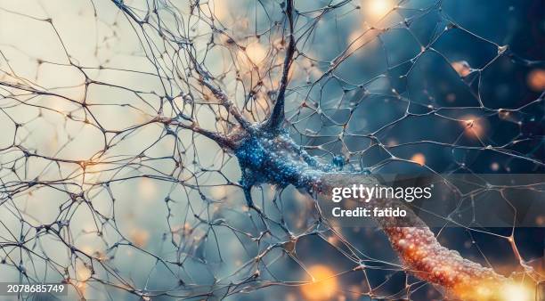 microscopic of neural network brain cells - 軸索 ストックフォトと画像