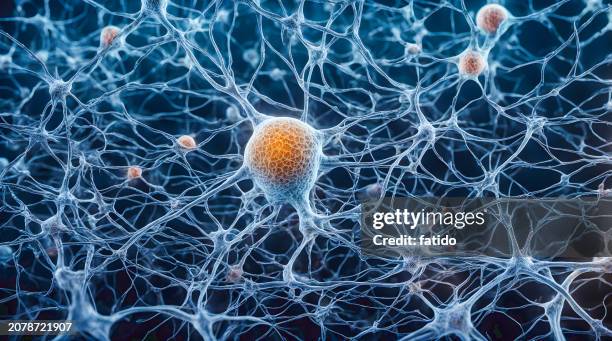 microscopic of neural network brain cells - 軸索 ストックフォトと画像