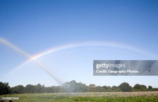 Rainbow created by crop irrigator spraying water on potatoes, Shottisham, Suffolk, England.