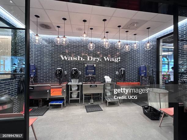 Wash Dry Wag sign on wall of pet grooming area of new Petco Store in Union Square, Manhattan.