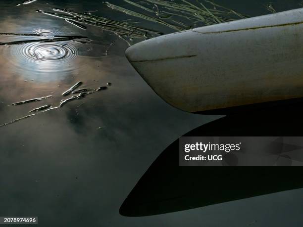 Sun reflections, scull hull and reeds in stagnant waters of the Thames by Radley Boathouse.