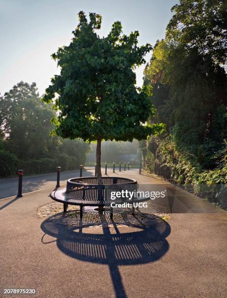 Circular metal bench and shadows just outside Radley Station, Oxfordshire.