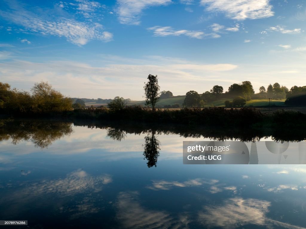 Solitary tree and reflection in the Thames by Radley Boathouse