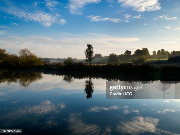 Solitary tree and reflection in the Thames by Radley Boathouse.