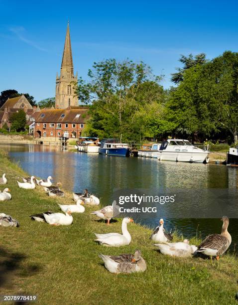 View of St Helens Wharf and St Helens Church, Abingdon, with geese, on a fine summer morning.