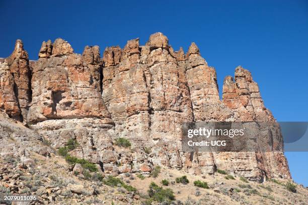 Clarno Unit Epithelium Photos and Premium High Res Pictures - Getty Images