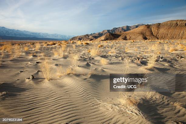 Wind-blown sand and ripples, Owens Valley, California.