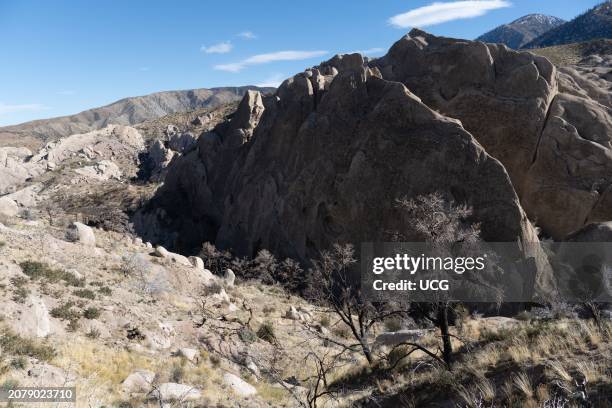 Burned trees from the 2020 Bobcat Fire and the Miocene Punchbowl Formation, Devils Punchbowl County Park, California.