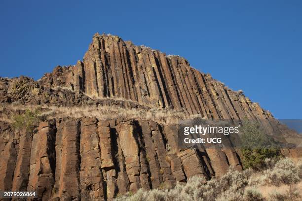 Columns of Miocene Picture Gorge Basalt, John Day Fossil Beds National Monument, Oregon.