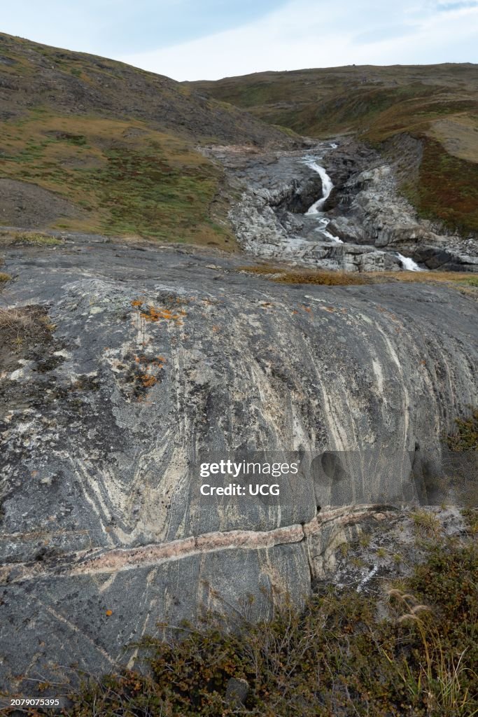 Folded Archean gneiss cut by granitic dike, Greenland