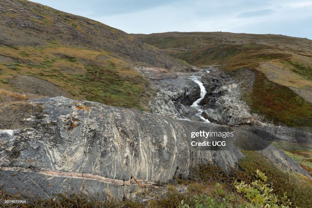 Folded Archean gneiss cut by granitic dike, Greenland