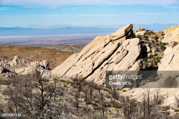 Tilted Miocene sedimentary rocks of the Punchbowl Formation and western Mojave Desert in background. Burned trees from the 2020 Bobcat Fire in the...