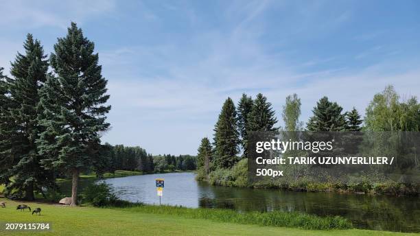 scenic view of lake against sky,edmonton,alberta,canada - alberta stockfoto's en -beelden