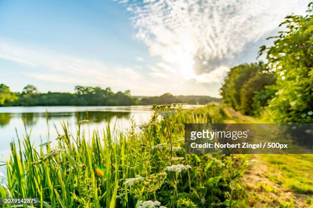 scenic view of lake against sky - norbert zingel photos et images de collection