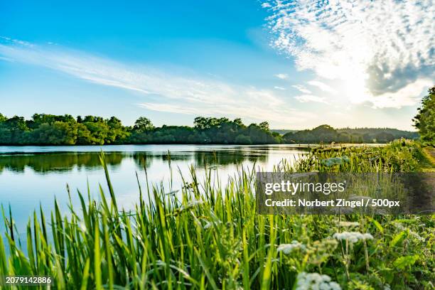 scenic view of lake against sky - norbert zingel 個照片及圖片檔
