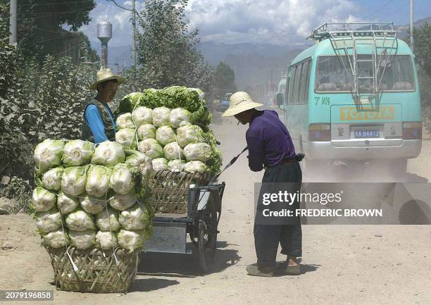 Farmers load cabbage onto a transport vehicle as a passing bus kicks up sand from the road in Lhasa, 08 August 2002. Farming communities in Tibet...