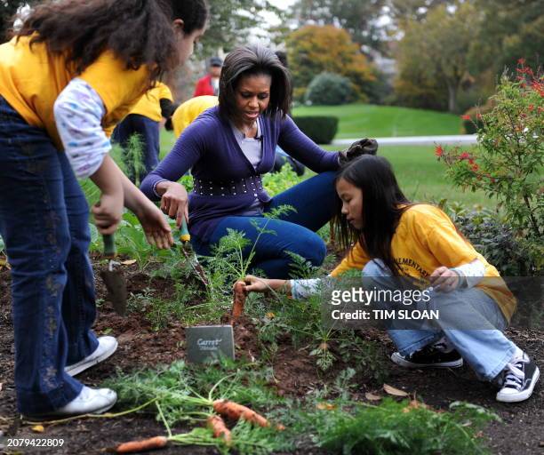 First lady Michelle Obama hosts a fall harvest of the White House vegetable garden with help of students from Washington's Bancroft and Kimball...