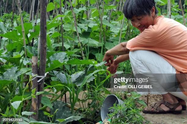 Lifestyle-China-farm-food-health,FEATURE" by Fran Wang A Chinese farmer tends to the crops at Ji Yunliang's organic farm in the outskirt of Beijing...