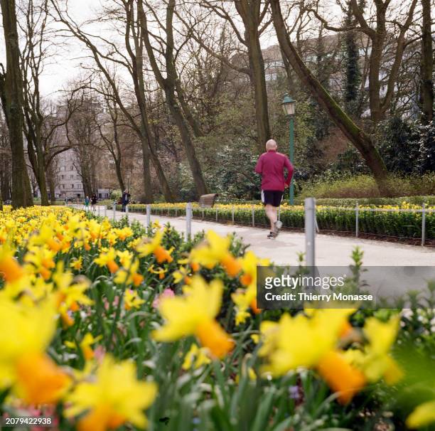 People enjoy the Narcissus jonquilla, also know as the rush daffodil, as they walk in the Parc du Cinquantenaire on March 14, 2024 in Brussels,...