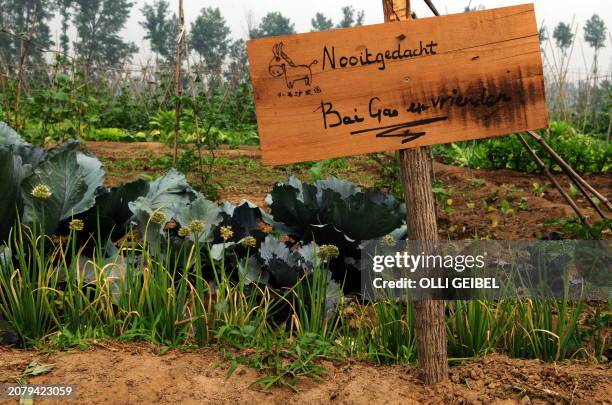 Lifestyle-China-farm-food-health,FEATURE" by Fran Wang Crops grow at Ji Yunliang's organic farm in the outskirt of Beijing on June 7, 2010. Ji...