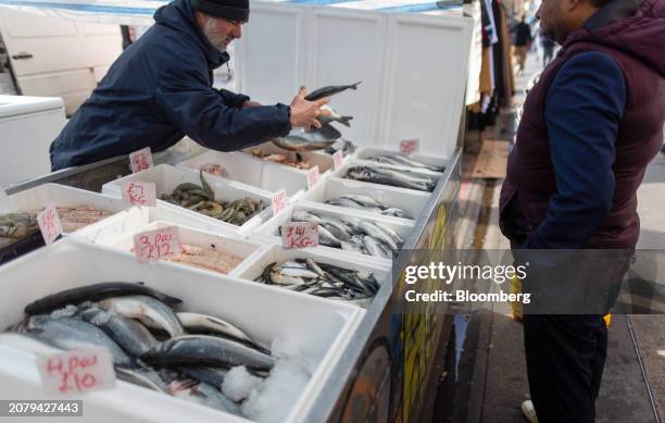 Fresh Fish Inflation Client Fish Photos and Premium High Res Pictures - Getty Images