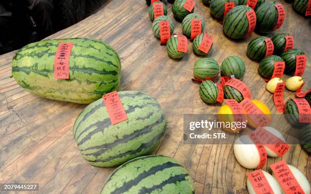 This photo taken on May 25,2011 shows watermelons on display at a contest for the biggest and sweetest watermelon, in Beijing . A recent bizarre wave...