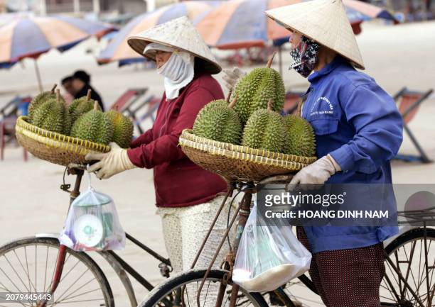Two durian fruit vendors wait for customers on a beach in the southern coastal town of Vung Tau 01 March 2006. The city gets ready for the trial of...