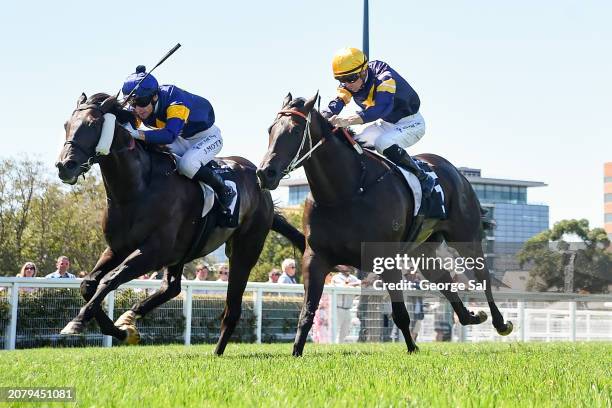 662 Jamie Sharp Photos & High Res Pictures - Getty Images