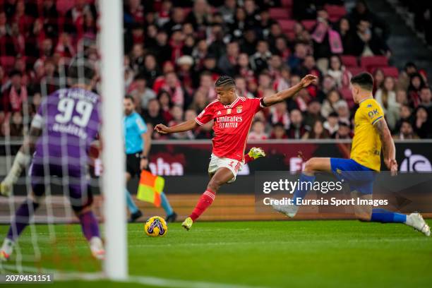 David Neres of Benfica attempts a kick during the Liga Portugal Betclic match between SL Benfica and GD Estoril at Estadio do Sport Lisboa e Benfica...