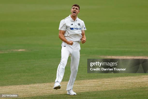 Liam Haskett of Western Australia celebrates the wicket of Matt Short of Victoria during the Sheffield Shield match between Victoria and Western...