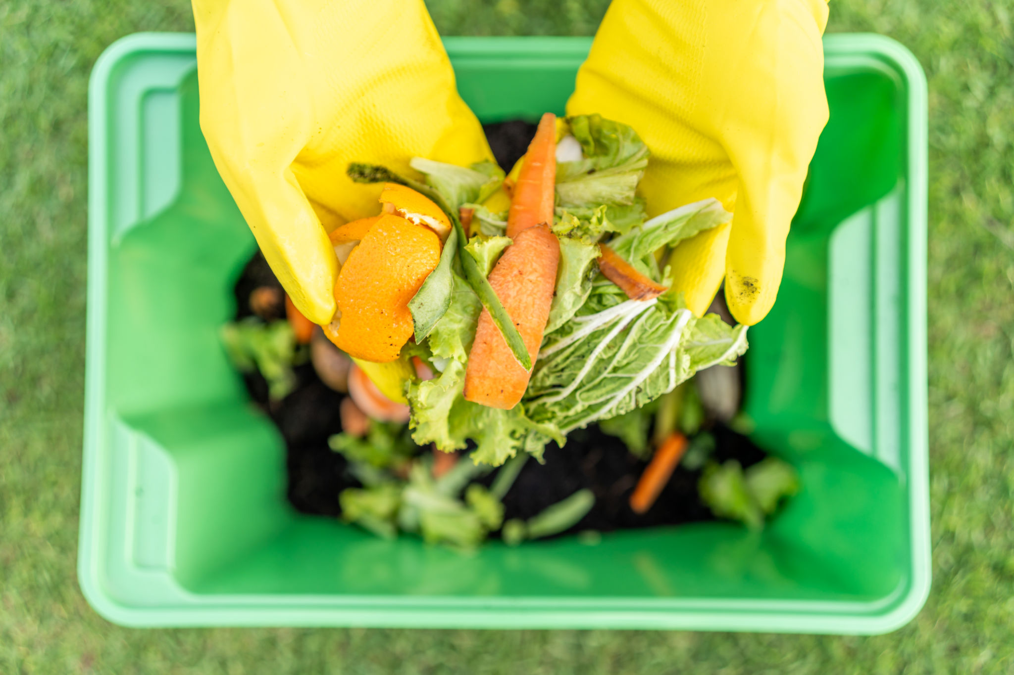 compost bin