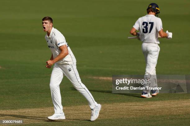 Liam Haskett of Western Australia celebrates the wicket of Will Sutherland of Victoria during the Sheffield Shield match between Victoria and Western...
