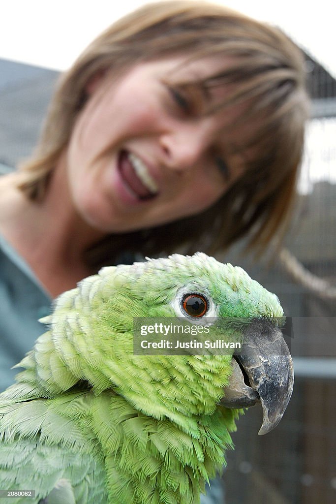 CDC Increases Awareness To Health Risks Associated With Exotic Pets
