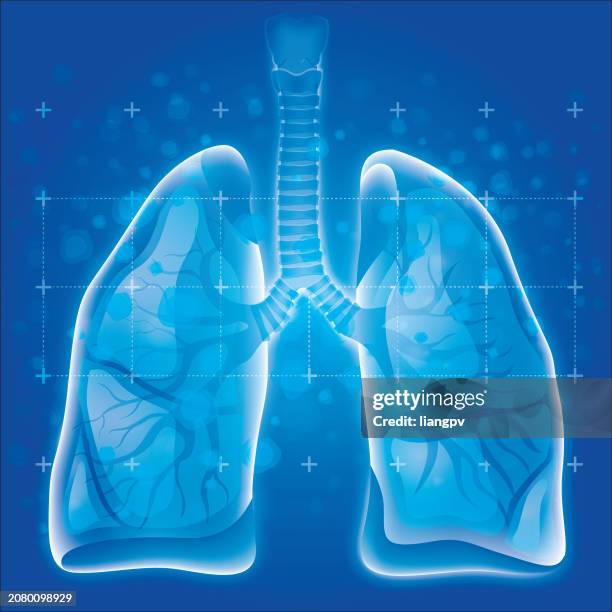 bildbanksillustrationer, clip art samt tecknat material och ikoner med human lung - lunga