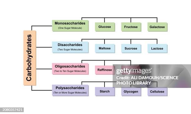 carbohydrate types, illustration - glucose chart stock illustrations