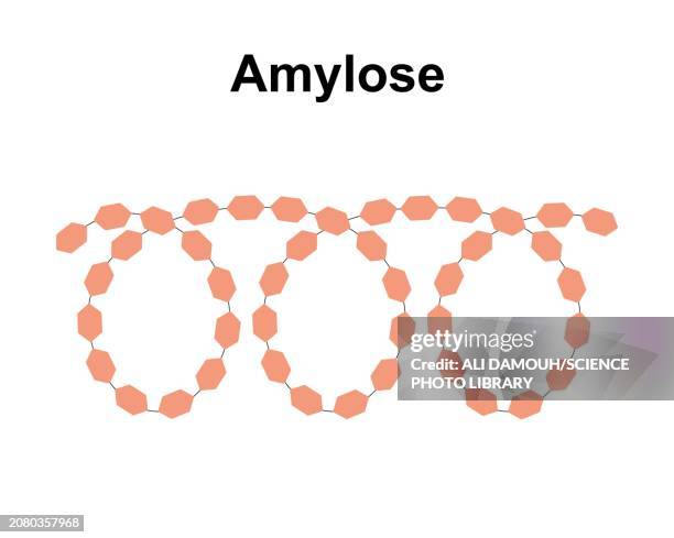 amylose sugar molecule, illustration - formula stock illustrations