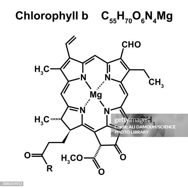 chlorophyll b chemical structure, illustration - atomic imagery stock illustrations