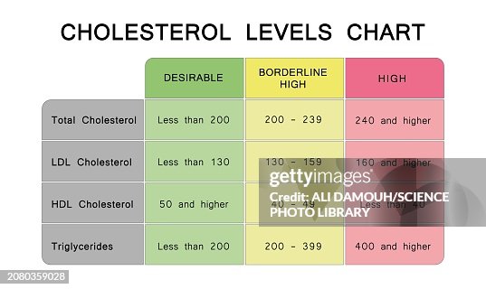 Cholesterol level chart, illustration Cholesterol level chart, illustration