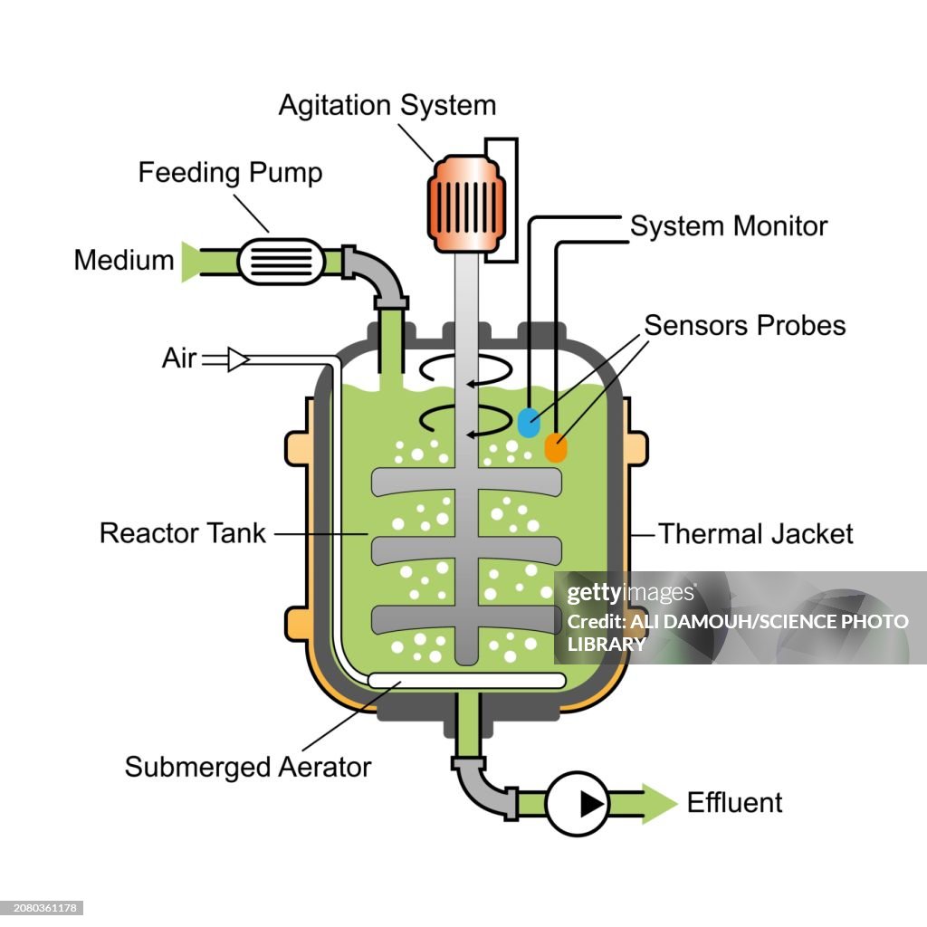 Bioreactor, illustration
