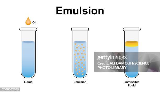 Fat Emulsification Process 30 Emulsification Stock Photos, High-Res Pictures, and Images - Getty ...