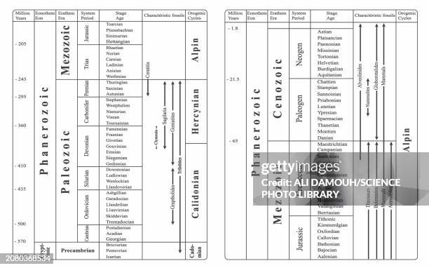 ilustrações de stock, clip art, desenhos animados e ícones de geochronological scale, illustration - siluriano