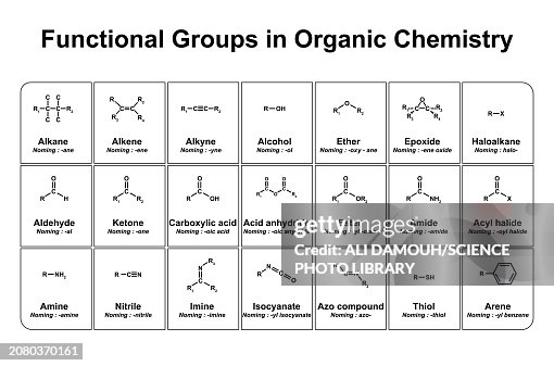 Study Functional Groups Functional Groups In Organic Chemistry Illustration High-Res Vector ...