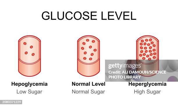 Low Levels Low Blood Levels Photos and Premium High Res Pictures - Getty Images