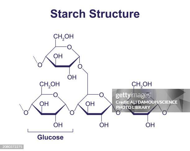 starch structure, illustration - carbohydrate biological molecule stock illustrations