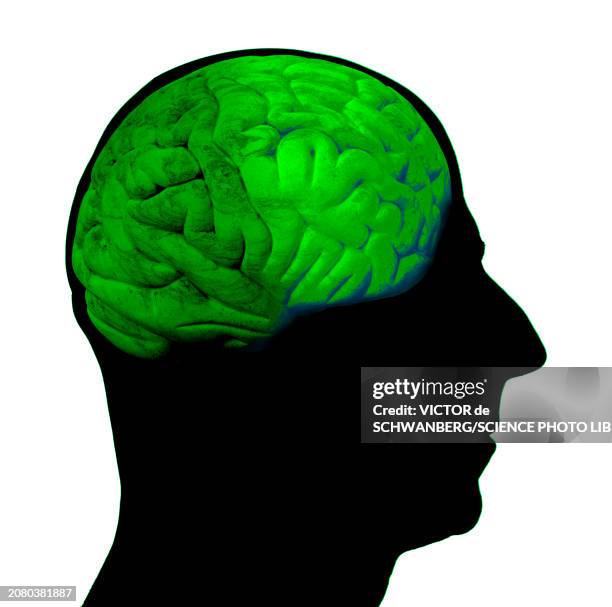 Green Thinking Conceptual Illustration High-Res Vector Graphic - Getty ...