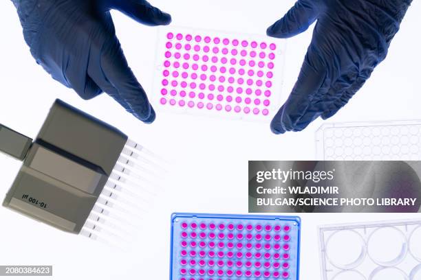 96 well plate in laboratory - 96 well plate stock pictures, royalty-free photos & images