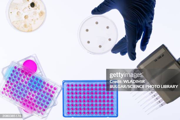 96 well plate in laboratory - 96 well plate stock pictures, royalty-free photos & images