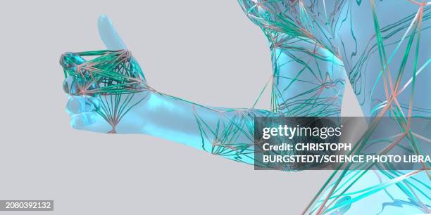 human body connections, illustration - body chain stock illustrations